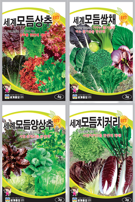 세계 모듬 상추 치커리 양상추 쌈채 씨앗 4종 세트, 1개