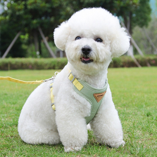 디아쿠아 강아지 고양이 바디핏 하네스 리드줄 세트, 올리브그린, 1개