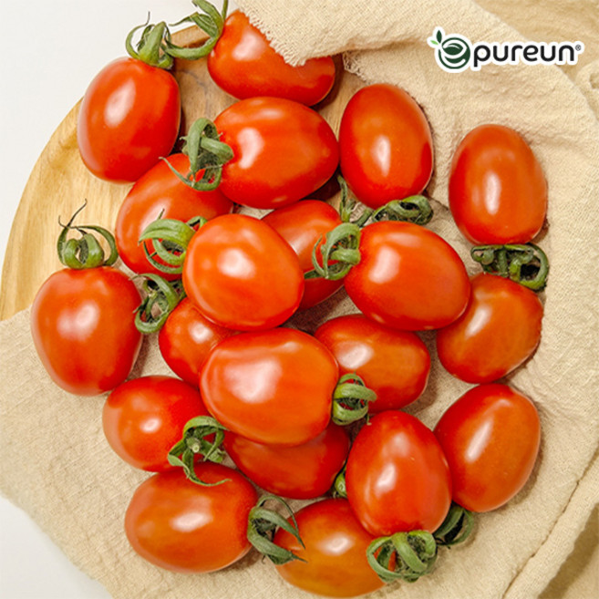 산지직송 스테비아 대추 방울토마토 500g x 2팩, 2개, 개당500g