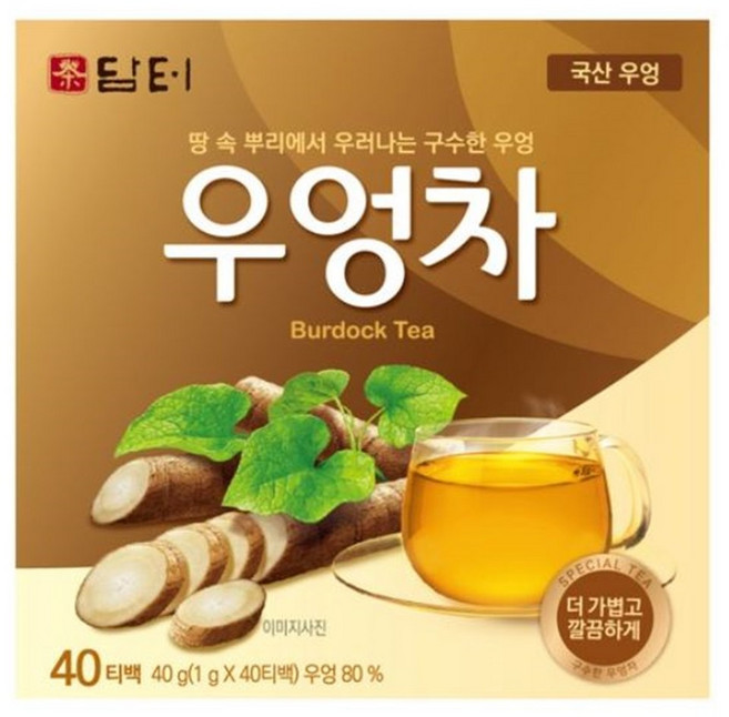 담터 우엉차40T x 3개입, 1g, 40개입, 3개