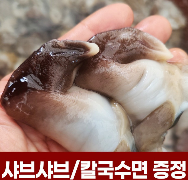 자연산 냉동 초코새조개살 200g 샤브샤브 손질완료 칼국수면 증정 국산, 1개