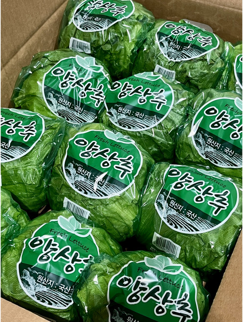 채소모아 산지직송 포장 양상추 12통 한박스 식자재 업소용 대용량, 300g, 12개