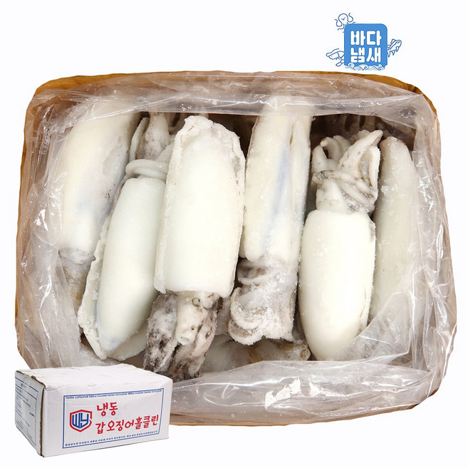 도매/업소용 냉동 갑오징어 5kg 1박스(약15마리) 300/500 대사이즈 손질갑오징어, 1