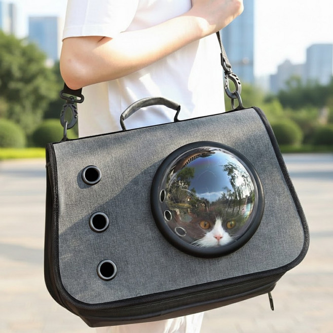 몽글펫 반려동물 강아지 이동가방 고양이 캐리어 반려묘 이동장, 1개, 그레이