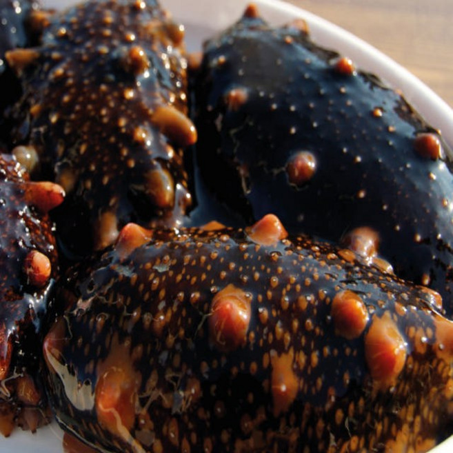 동해안 산지직송 자연산 해삼 1kg, 1개, 대 1kg(4-6마리 내외)