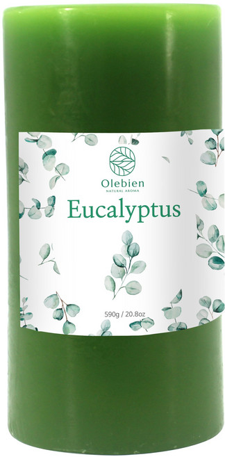 4S 올레비엔 필라향초 6인치 90Hr 11종 택1, 유칼립투스 014759, 1개