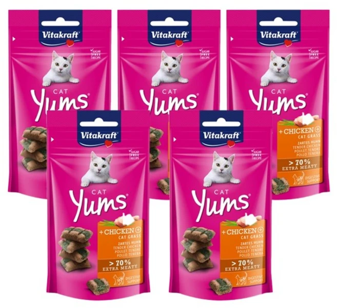 비타크레프트 캣얌 고양이 스낵, 치킨 + 캣그라스 혼합맛, 40g, 5개 - 쿠팡