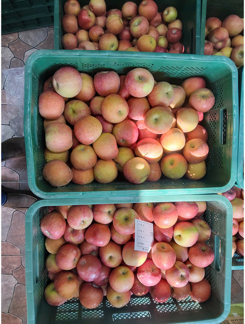 사과 부사 선물용 프리미엄 맛보장 고당도 애플 온가족 간식 과일 랜덤 4.5kg 1개