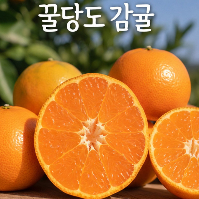 5위 - [고객만족도1위] 12brix 고당도 제주 감귤, 1박스, 3kg