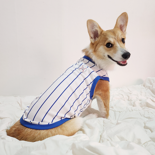 도기스타 웰시코기옷 여름 강아지 쿨조끼, 야구블루, 1개