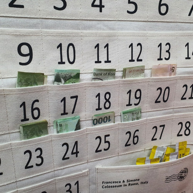 벽걸이 포켓 한달 용돈달력 약달력 약먹는달력 벽걸이달력 생활비달력, 31포켓 - 1개