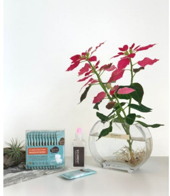 디어먼트 식물 수경재배용 영양제 수경재배 건강성장용 비료 액체영양제 화분영양제 수경영양제 (튜브 용기 무료증정), 1개, 60g