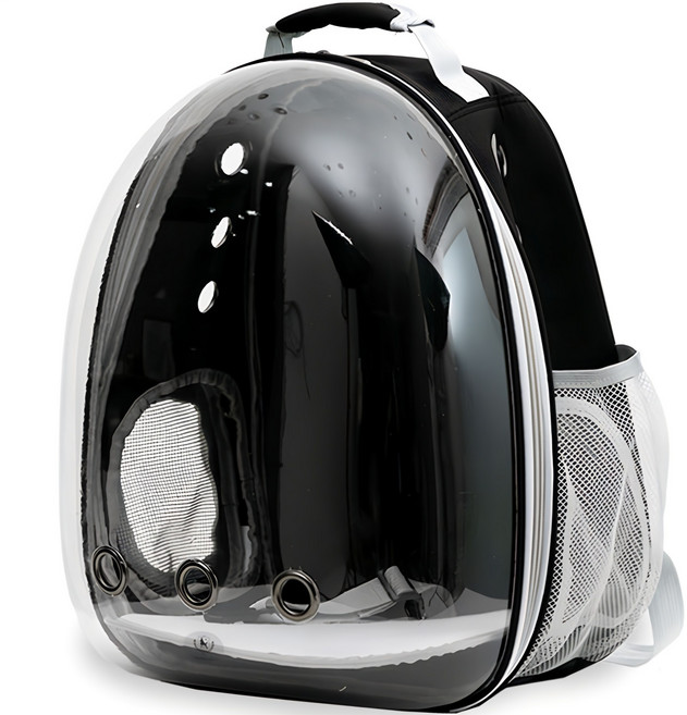 딩동펫 반려동물 투명 우주선 백팩, 블랙, 1개