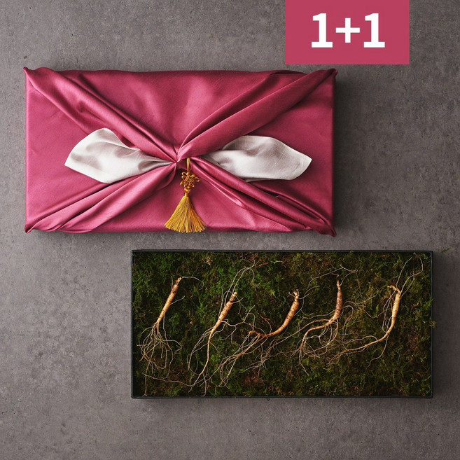 [롯데백화점 입점] 상산재 평창산삼 산양삼 7년근 5뿌리 1+1세트 장뇌삼 산양산삼, 2세트, 3.5g