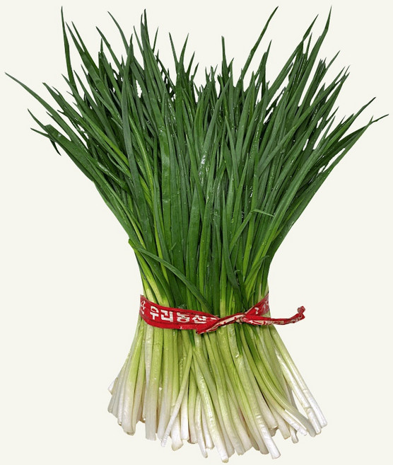 깐쪽파 실파 쪽파한단 1kg, 1단