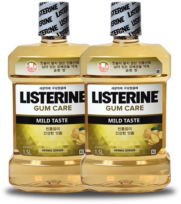 리스테린 검케어 1.5Lx2 마일드 무알콜가글 입냄새제거 구강청결제 구취제거제 임플란트 세정제, 1.5L