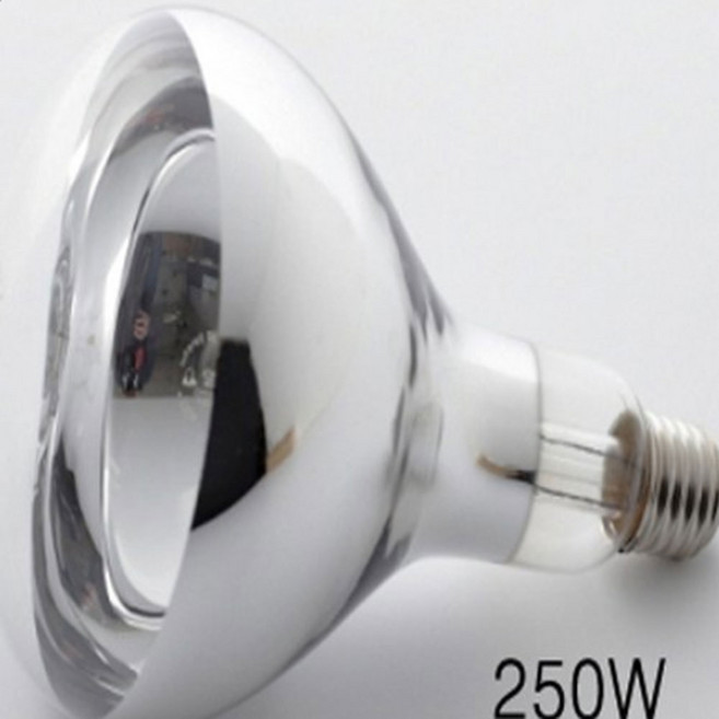 닭장보온 보온전구 적외선전구 병아리키우기 병아리집, 일광적외선열전구250W, 1개