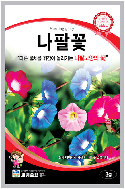 모칸도 나팔꽃 씨앗 3g 세계종묘 꽃씨 꽃씨앗, 1개
