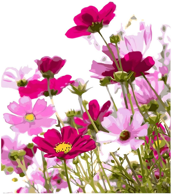 Momofix Painting DIY名畫繪圖套組 50 x 40cm, 1組, 波斯菊花田