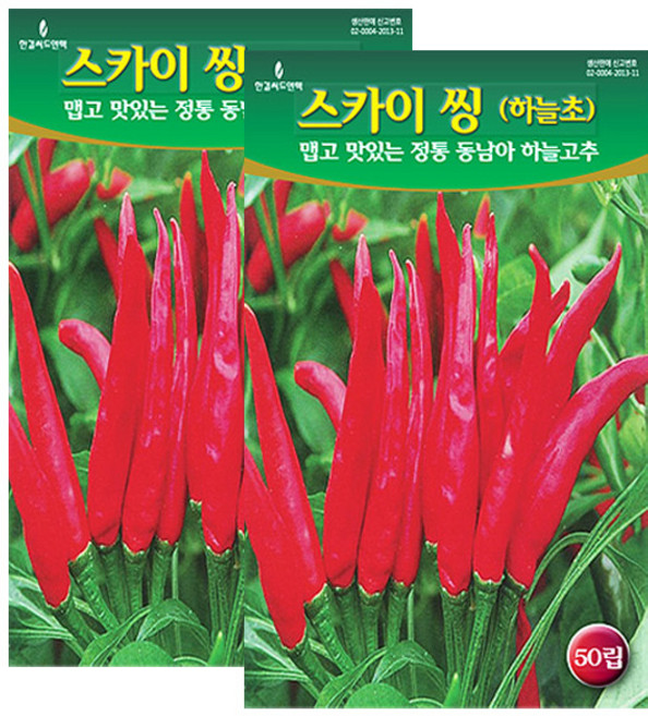 세인화분 스카이 씽 하늘초 50립 - 매운 고추씨 고추씨앗 하늘고추, 2개