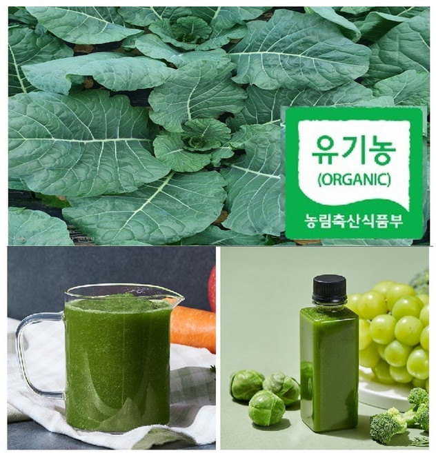 산지직송 친환경 유기농 세계 10대 슈퍼푸드 즙용 유기농 케일 2 kg, 1박스, 2kg