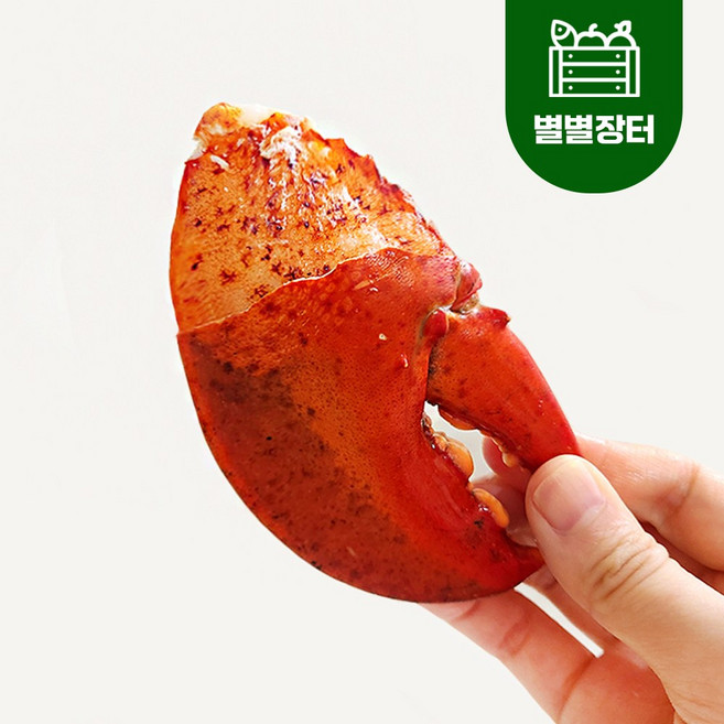 랍스터 너클 집게발 900g 캐나다 자숙 랍스타 집게 집게살, 1개