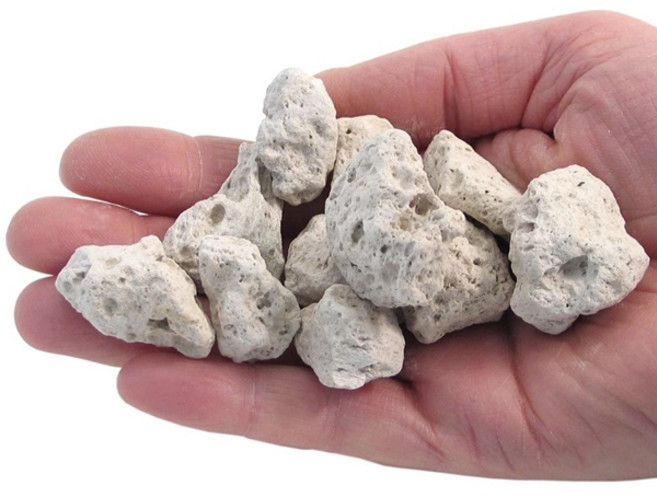 Educational Innovations 물에 뜨는 돌 부석 25개