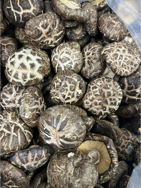 埔里A級花菇 台灣埔里特產 香菇, 大花半斤