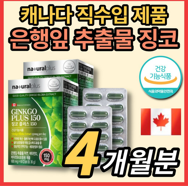 캐나다 직수입 징코 골드 플러스 기억력 혈행 개선 영양제 은행 나무 엽 추출물 비타민b12 아연 비타민d 주부 노인 어르신 중장년 남성 여성 학생 50대 60대 70대, 60정