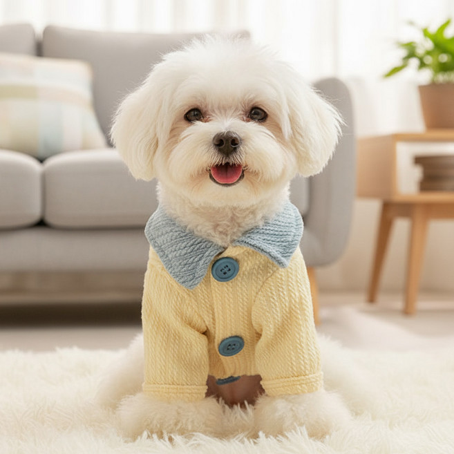 베이지 귀여운 강아지 배색 폴라티 소형견 고양이 반려동물 가을겨울 두꺼운 보온 의류, 1개, 노란색