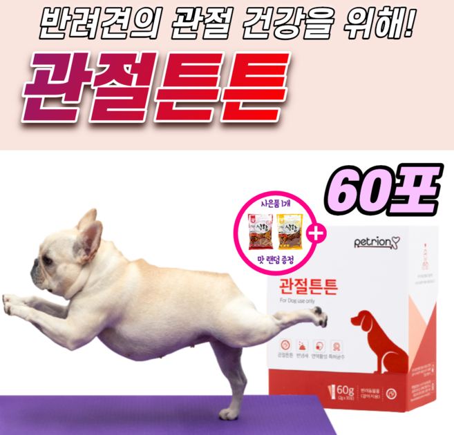 강아지 관절 튼튼 영양제 슬개골 탈구 예방 소형견 대형견 노견 노령견 콘드로이친 콘드로이틴 개 글루코사민 MSM 오메가3 장 건강 면역력 케어 반려견 애견 애완견 조인트 약1달, 2개