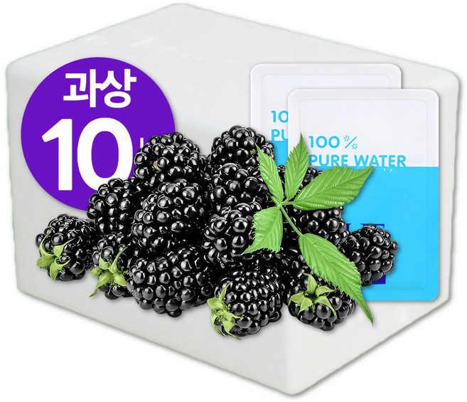 [높은당도/생과섭취] 2025년 최상급 과상오디 대용량 100% 국산, 1개, 10kg