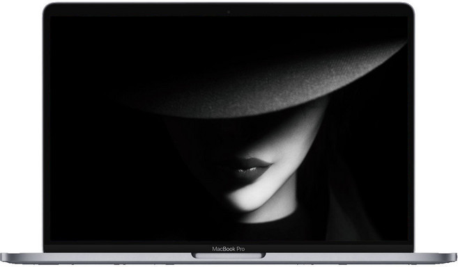 중고 애플 맥북프로 2018 A1989 13.3인치 i5-8279U/8G/SSD 256G 스페이스 그레이, 애플 맥북프로 A1989, MAC OS, 8GB, 256GB