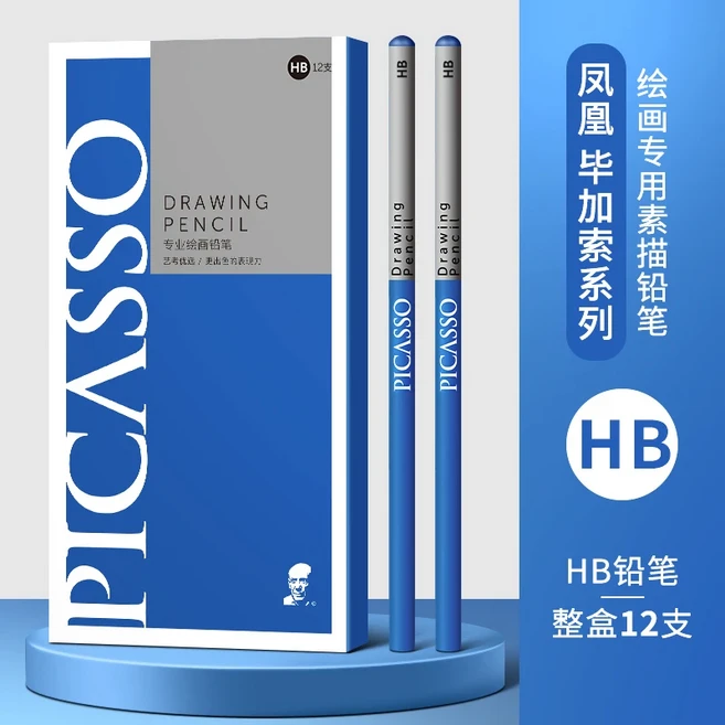 피닉스 피카소 전문가용 스케치 연필 미술 학생용 스케치용 흑연심2B/8B/14B 등급 풀아웃 디자인, [01] 12pcs, [08] 14B