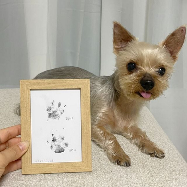 강아지 발도장 액자 반려견 발자국 셀프 스탬프 lov+896RA