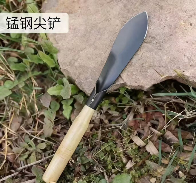 挖野菜神器錳鋼小鏟子種菜養花多肉不鏽鋼園藝工具除草挖土鐵鏟鍬, 1個, 26CM野菜鏟【尖鏟】:無規格
