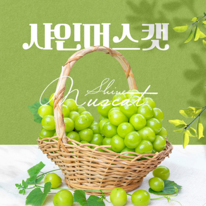 샤인머스켓 명절선물세트 고품질 고당도 샤인머스켓 김천 상주 영동산지직배송!, 1개