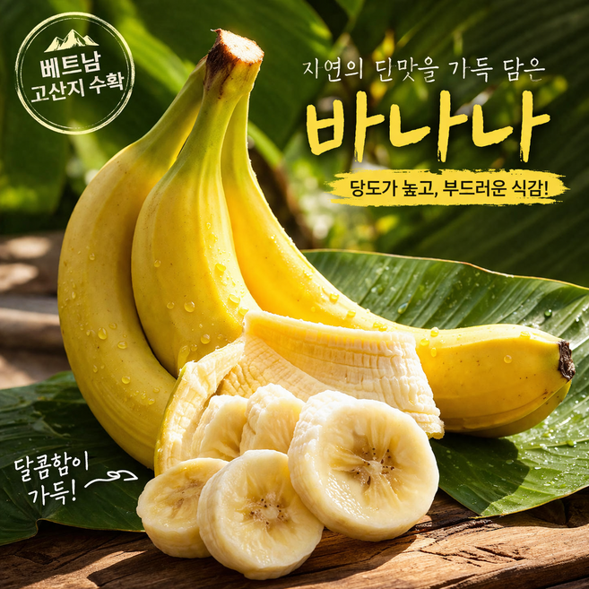 베트남 해발 700m에서 수확한 고당도 돌 바나나 1송이 2송이 3송이/ high land 고산지 바나나 후숙후 드시면 더 달아요, 1개, 1.2kg(1송이)