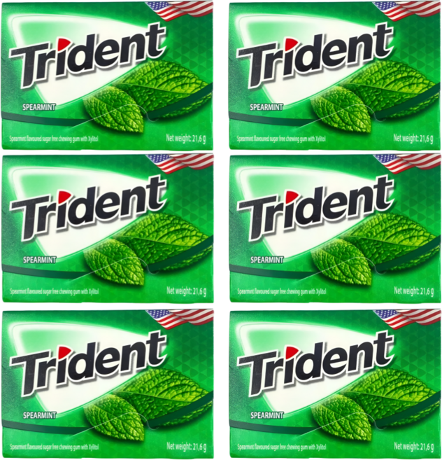 트라이던트 무설탕 자일리톨 껌 스피어민트 (Spearmint), 6개