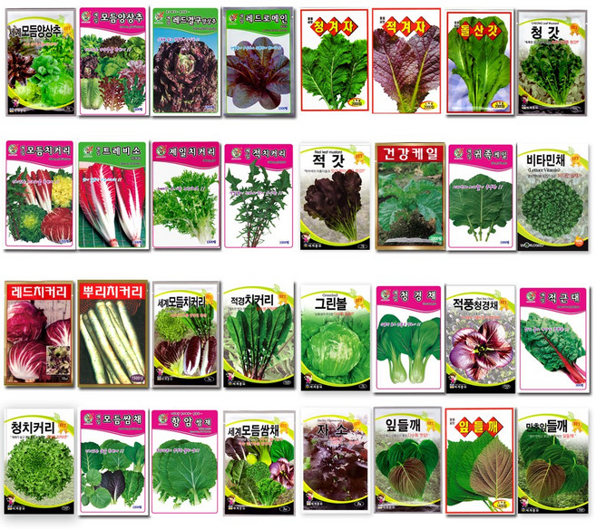 상추씨앗 양상추씨앗 쌈채소씨앗 텃밭채소 텃밭가꾸기 상추양상추씨앗 70여종, 01_상추/양상추/쑥갓씨앗, 03_세계모듬양상추(3g), 1개
