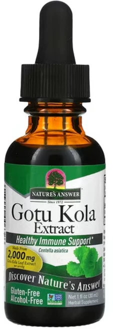 네이쳐스앤써 고투콜라 병풀잎 허브 2000mg 30ml 병풀추출물 액상 코투콜라, 1개 - 쿠팡