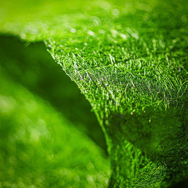 미슐랭 레스토랑에 납품되는 프리미엄 감태 국내산 마른 감태김, 1개, 100장 선물포장박스