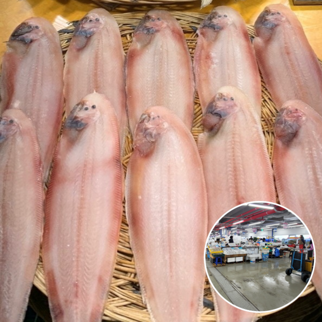 군산 반건조 박대 특대 10마리 30년경력 서대 설날 선물세트, 10개, 선물세트 대박대 31센티~33센티