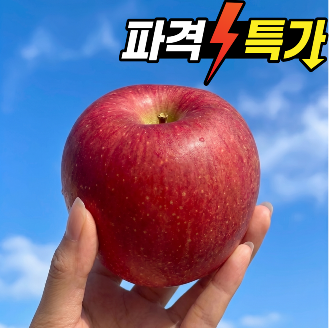[한정수량] 초특가 꿀사과 고당도 못난이사과, 1박스, 10kg