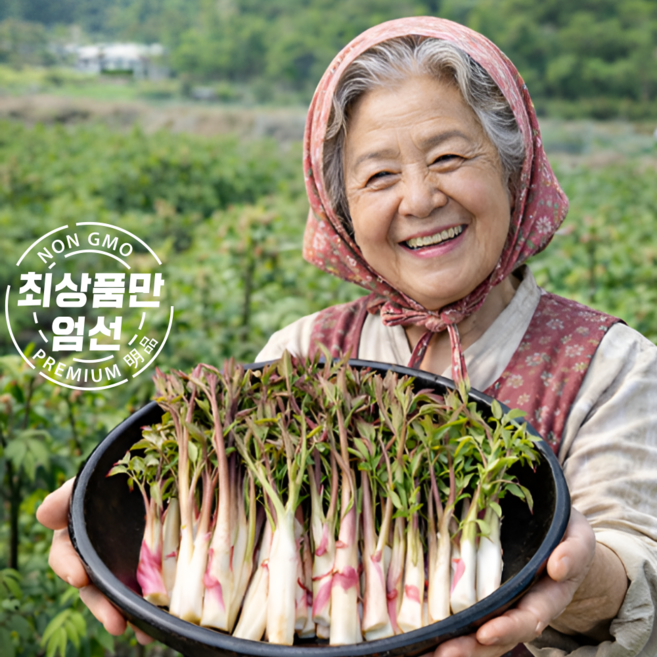 당일수확 땅두릅 산지직송 자연산 두릅, 1개, 1kg