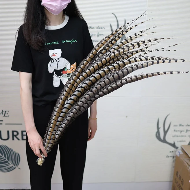 10-110cm 10/50개/묶음 천연 레이디 암허스트 꿩 중앙 꼬리 깃털 공예 장식 DIY 무대 공연 카니발용, 02 10 pieces, 15 70-75cm