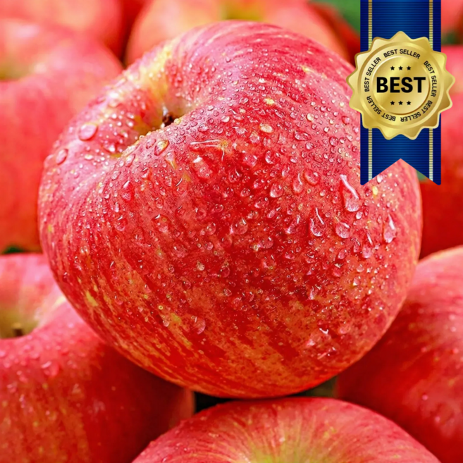 산지직송 초특가 국내산 부사 사과 대과 가정용, 1박스, 5kg(대)