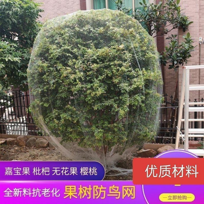 尼龍果樹防鳥網, 1個