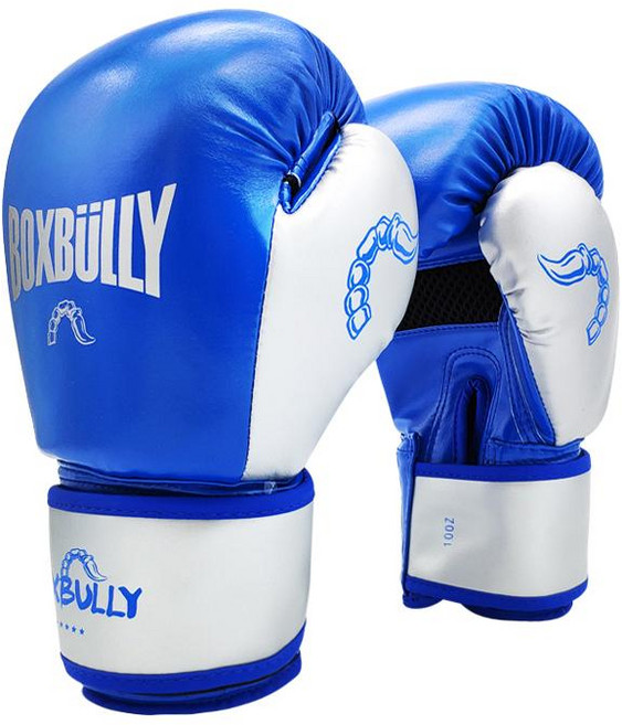 위닝 권투 글러브 복싱글러브 타입 레드 14컬러 프로페셔널, 1개, hzy031 블루실버