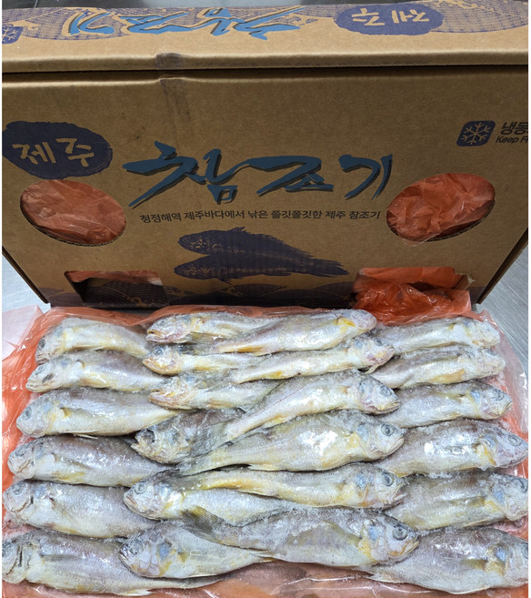 최근 조업 제주참조기 48마리, 1개, 3.7kg